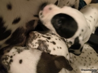 IMG_20250208_215604_web