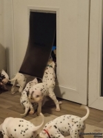 IMG_20250208_220448_web