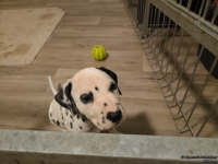 IMG_20250208_220917_web