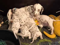 IMG_20250209_082148_web