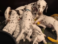 IMG_20250209_082155_web