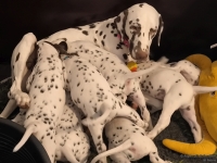 IMG_20250209_082216_web