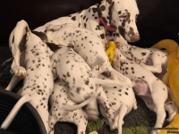 IMG_20250209_082228_web