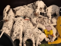 IMG_20250209_082248_web