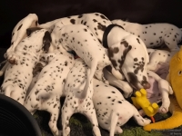 IMG_20250209_082302_web