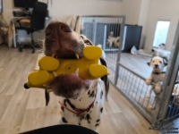 IMG_20250209_084039_1_web