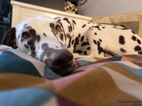 IMG_20250209_112106_web