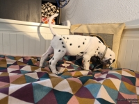 IMG_20250209_123757_web