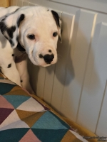 IMG_20250209_123924_web