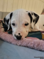 IMG_20250209_124122_web