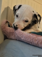 IMG_20250209_124127_web