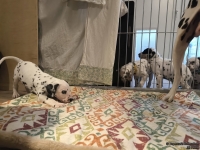 IMG_20250210_084140_web