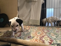 IMG_20250210_084143_web