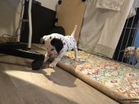 IMG_20250210_084145_web