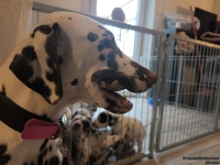 IMG_20250210_102038_web