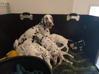 IMG_20250210_102903_web