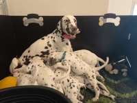 IMG_20250210_102906_web