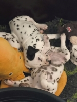 IMG_20250210_122612_web