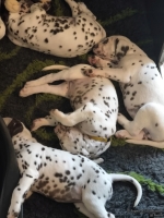 IMG_20250210_122625_web