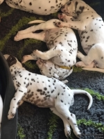 IMG_20250210_122628_web