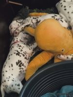 IMG_20250210_122638_web