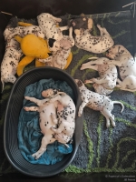 IMG_20250210_122705_web