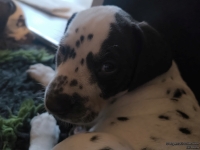 IMG_20250210_164122_web