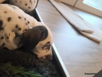 IMG_20250210_164125_web