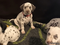 IMG_20250210_164137_web