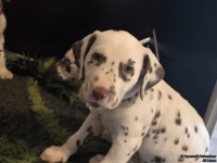 IMG_20250210_164142_web