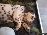 IMG_20250210_164156_web