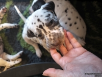 IMG_20250210_164229_web