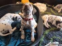 IMG_20250210_164316_web