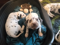 IMG_20250210_164332_web