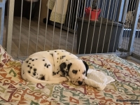 IMG_20250211_081903_web