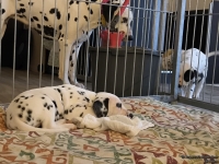 IMG_20250211_081917_web