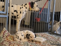 IMG_20250211_082020_web