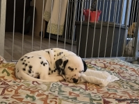 IMG_20250211_082032_web