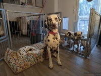 IMG_20250211_083112_web