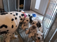 IMG_20250211_091241_web