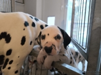 IMG_20250211_091320_web