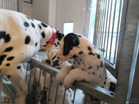 IMG_20250211_091323_web