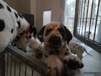 IMG_20250211_091415_web