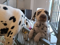 IMG_20250211_091424_web