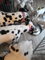 IMG_20250211_091436_web