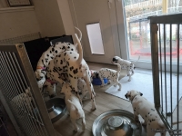 IMG_20250211_091445_web