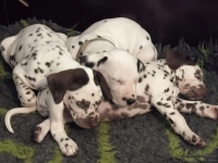 IMG_20250211_130846_web