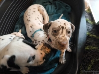 IMG_20250211_131029_web