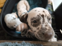 IMG_20250211_131032_web