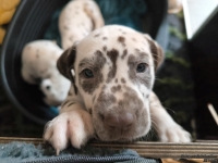 IMG_20250211_131033_web